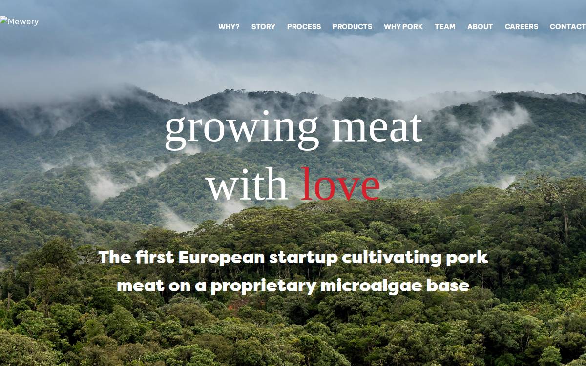 Mewery website preview