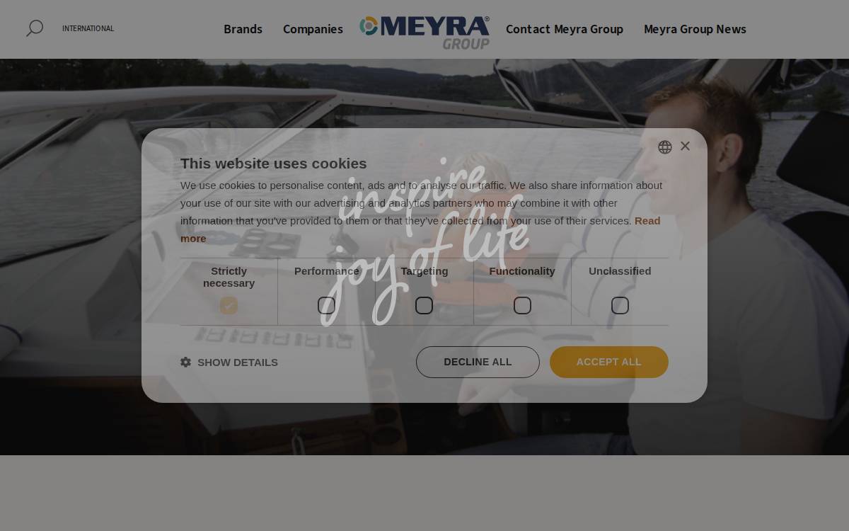 Meyra Group website preview