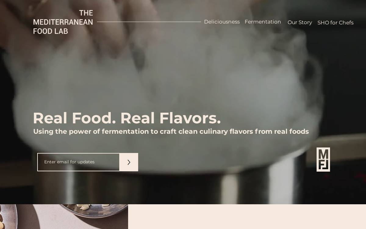 MFL website preview