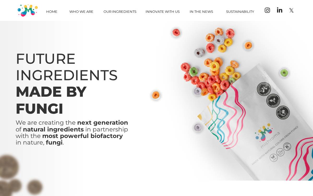 Michroma website preview