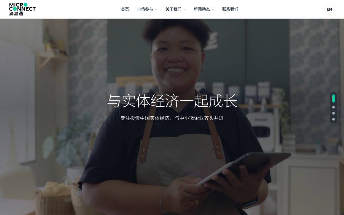 Microconnect website preview
