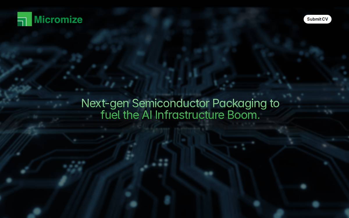 Micromize website preview