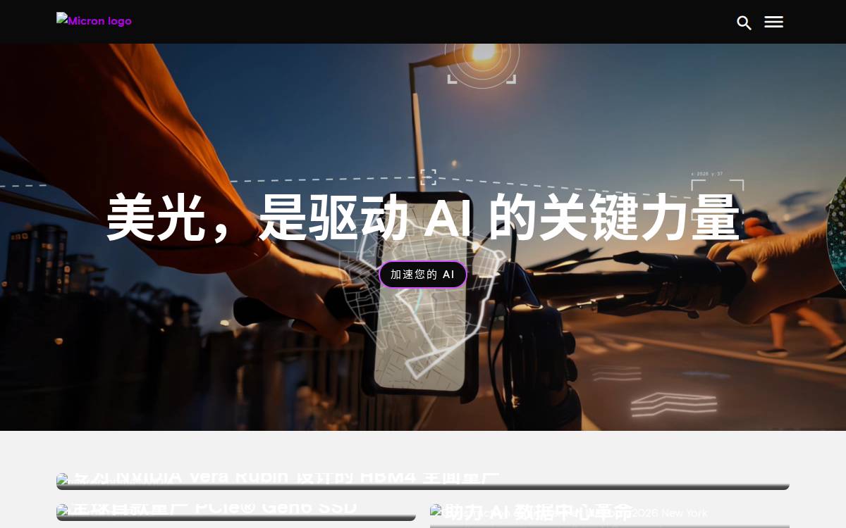 Micron website preview