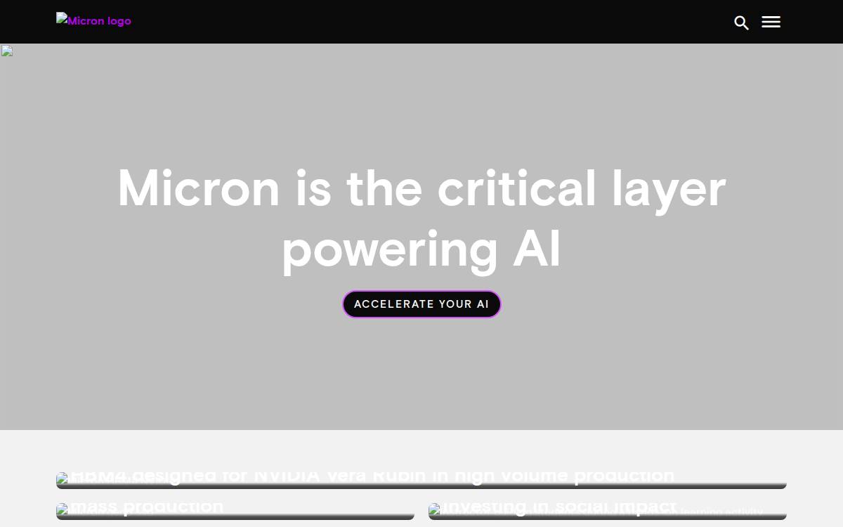 Micron website preview