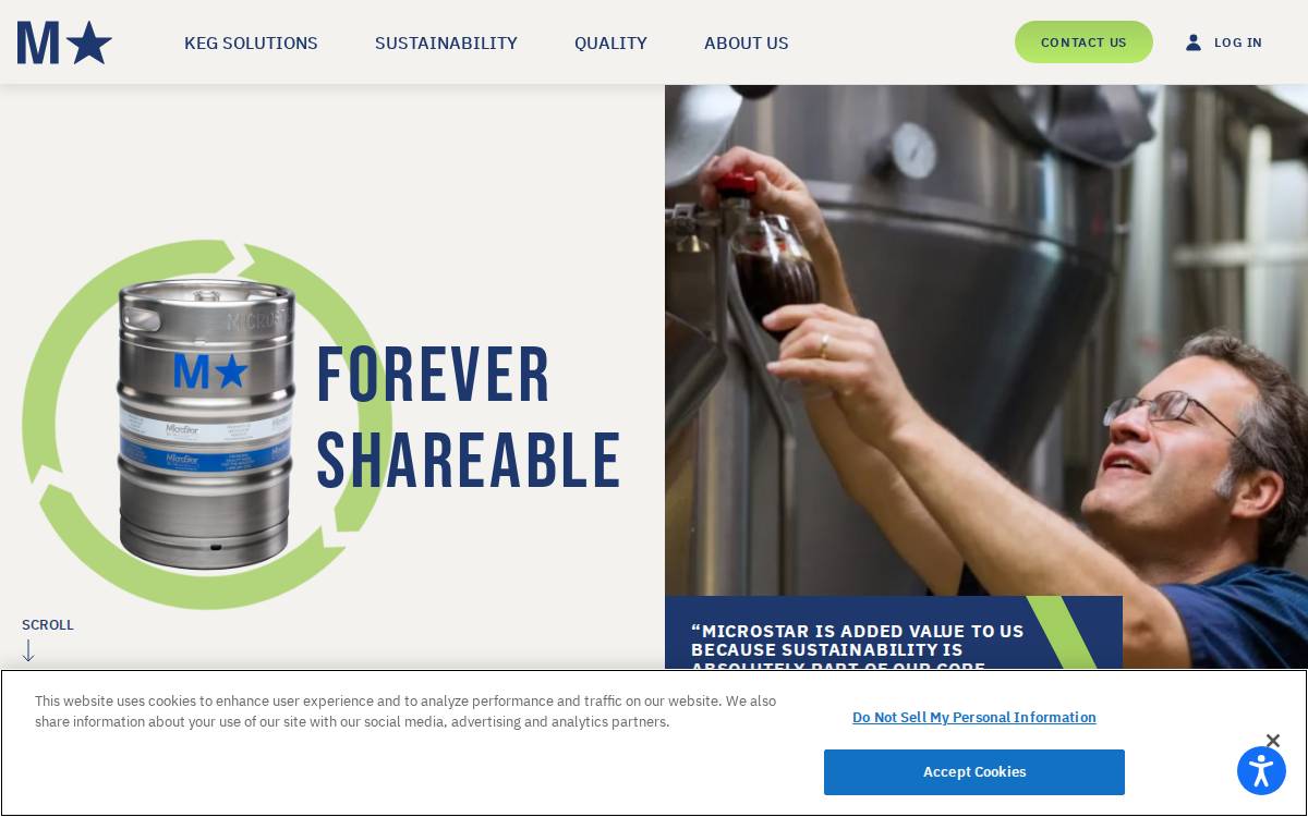 MicroStar website preview