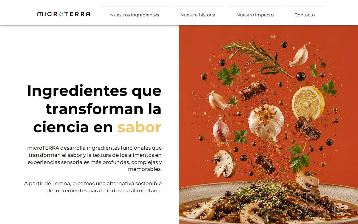 microTERRA website preview