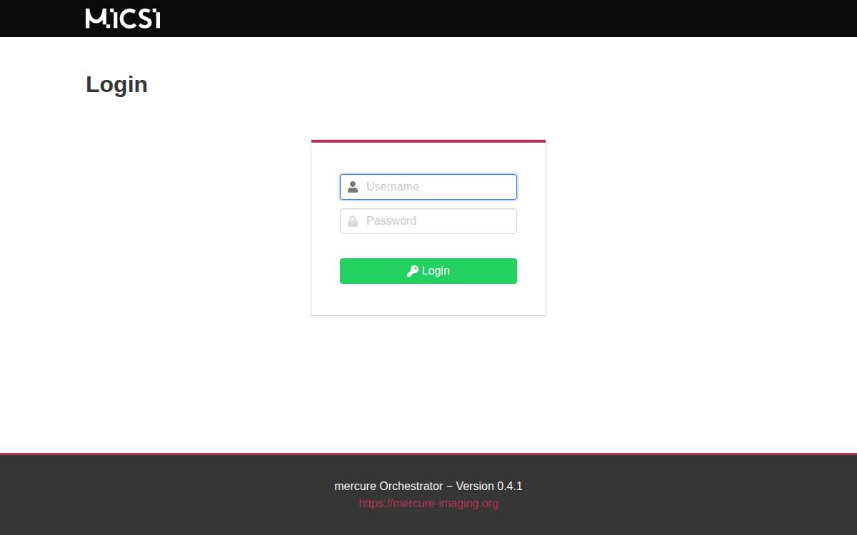 MICSI website preview