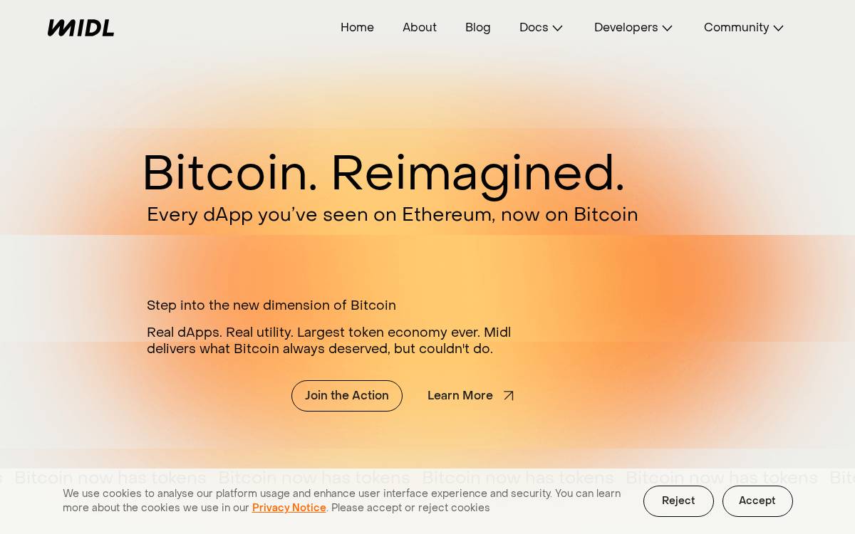 Midl website preview