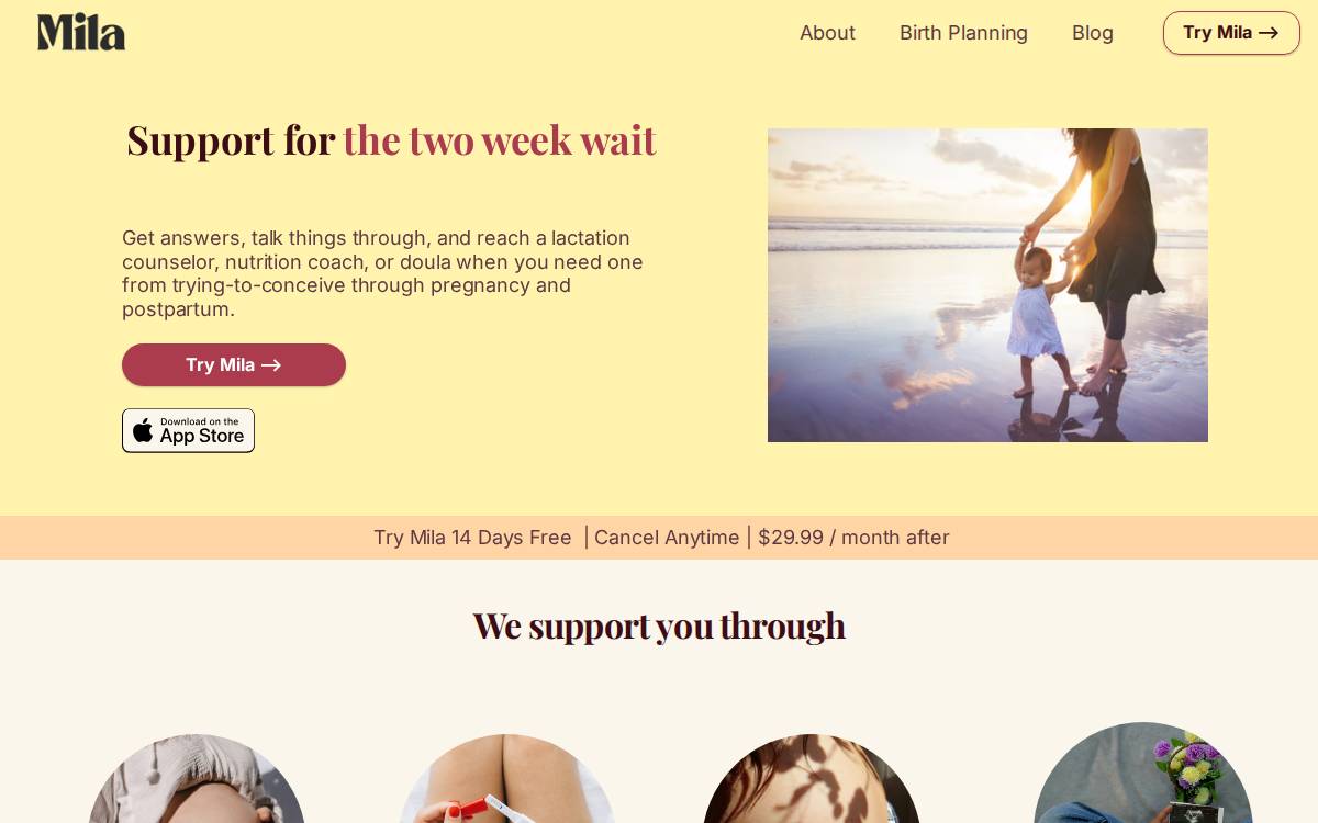 Milasupport website preview