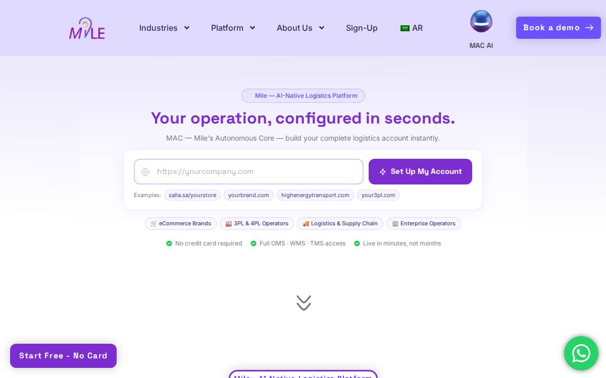 Milenow website preview