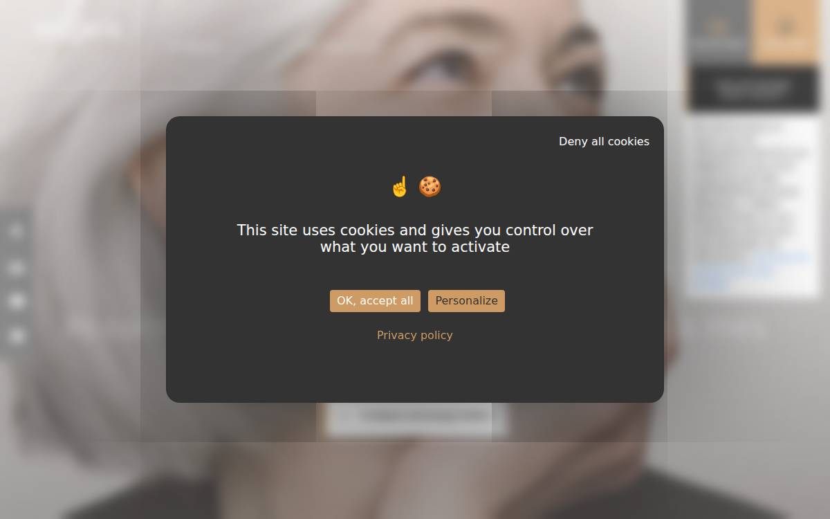 Milleis website preview