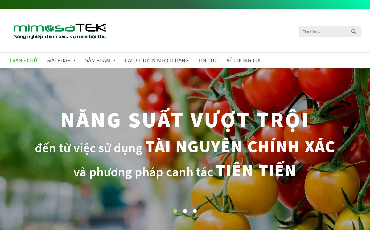 Mimosatek website preview