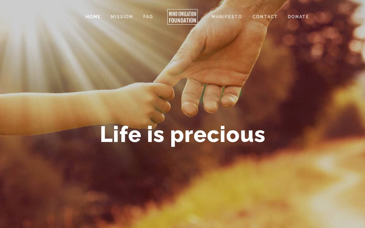 Mind Emulation Foundation website preview
