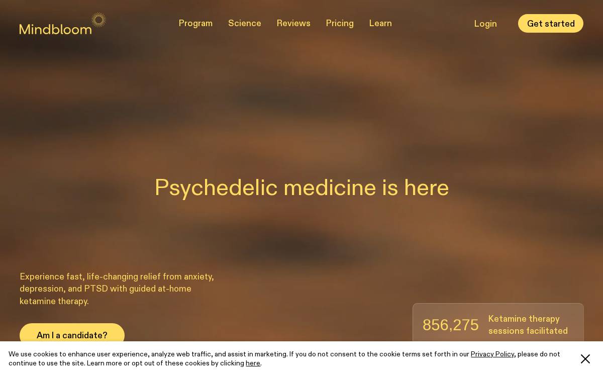 Mindbloom website preview