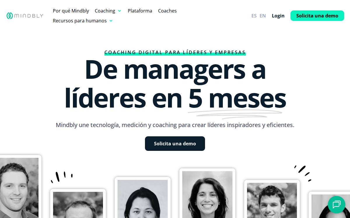 Mindbly website preview