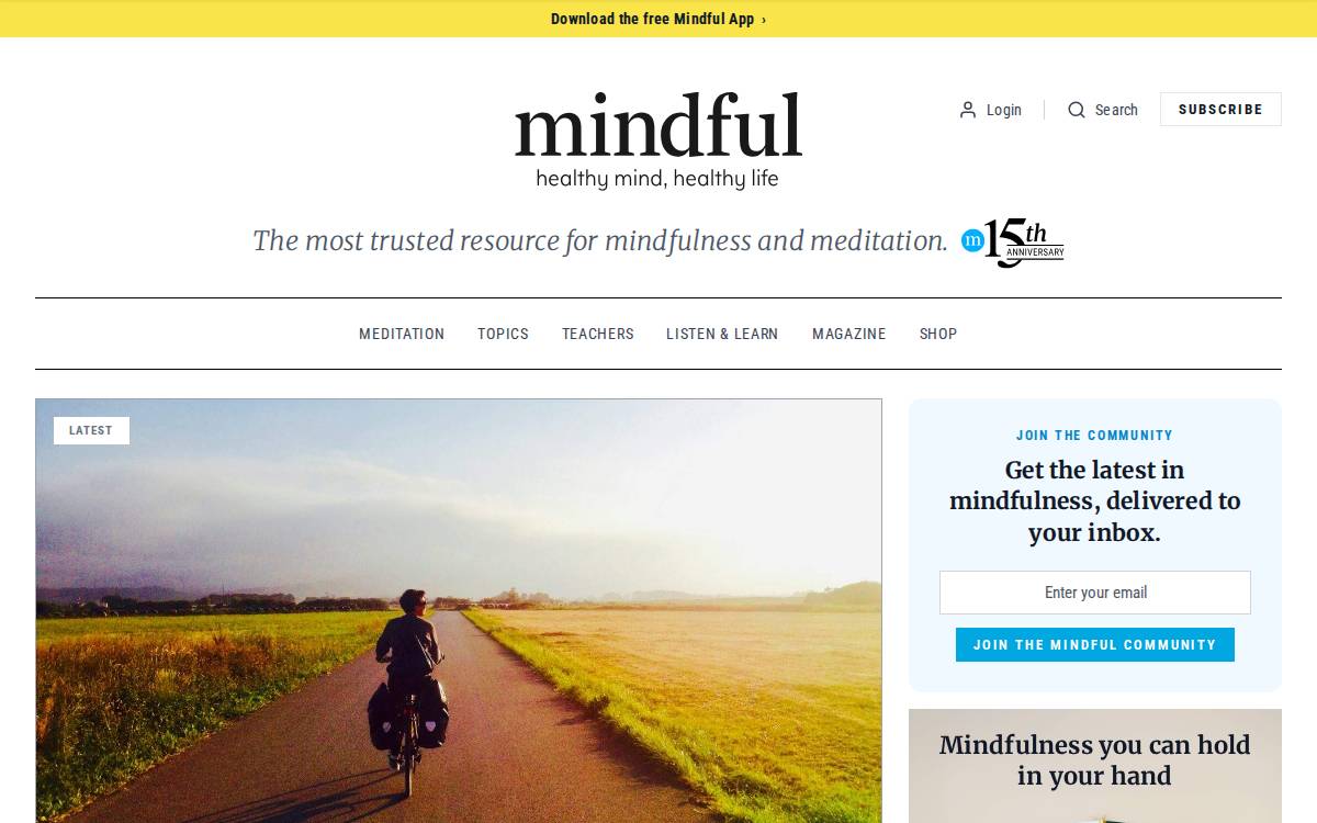 Mindful website preview