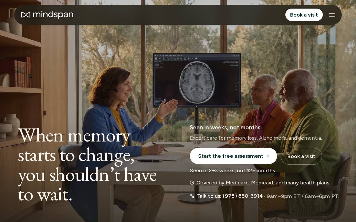 Mindspan website preview