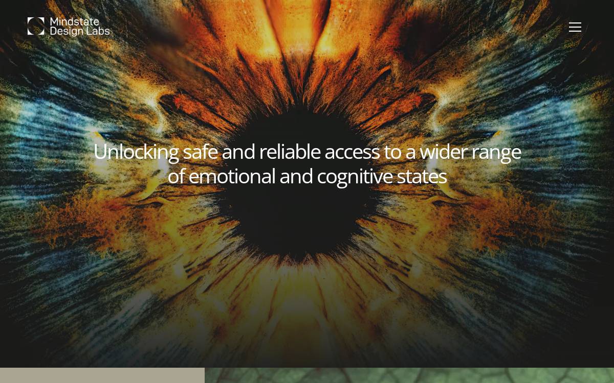 Mindstate Design Labs website preview