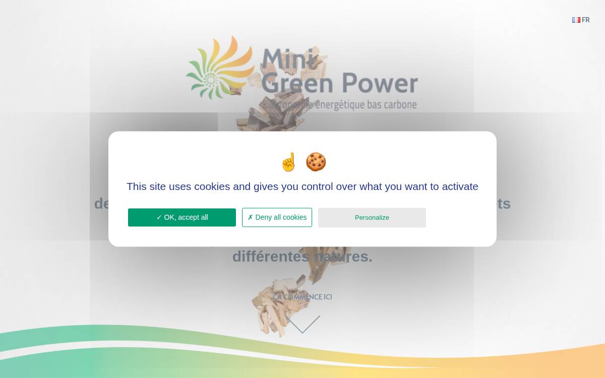 Mini Green Power website preview