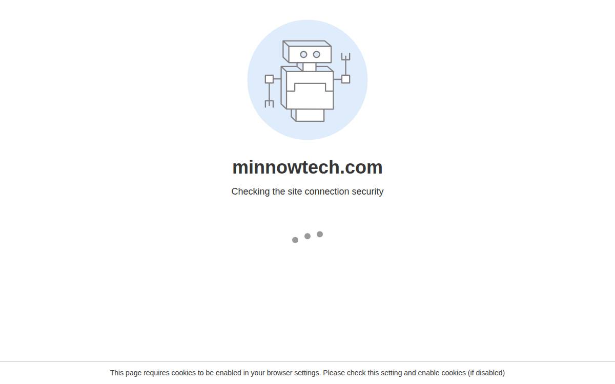 Minnowtech website preview