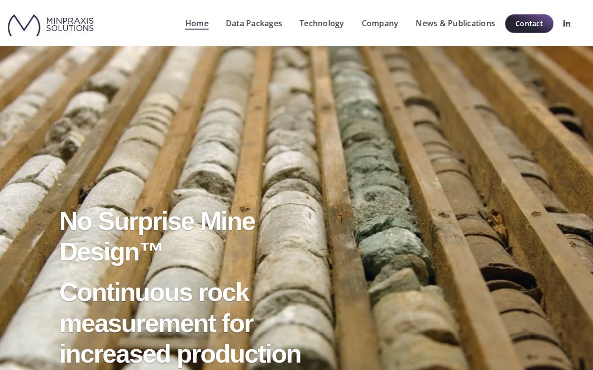 Minpraxis Solutions Ltd. website preview