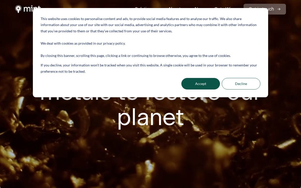 Mint Innovation website preview