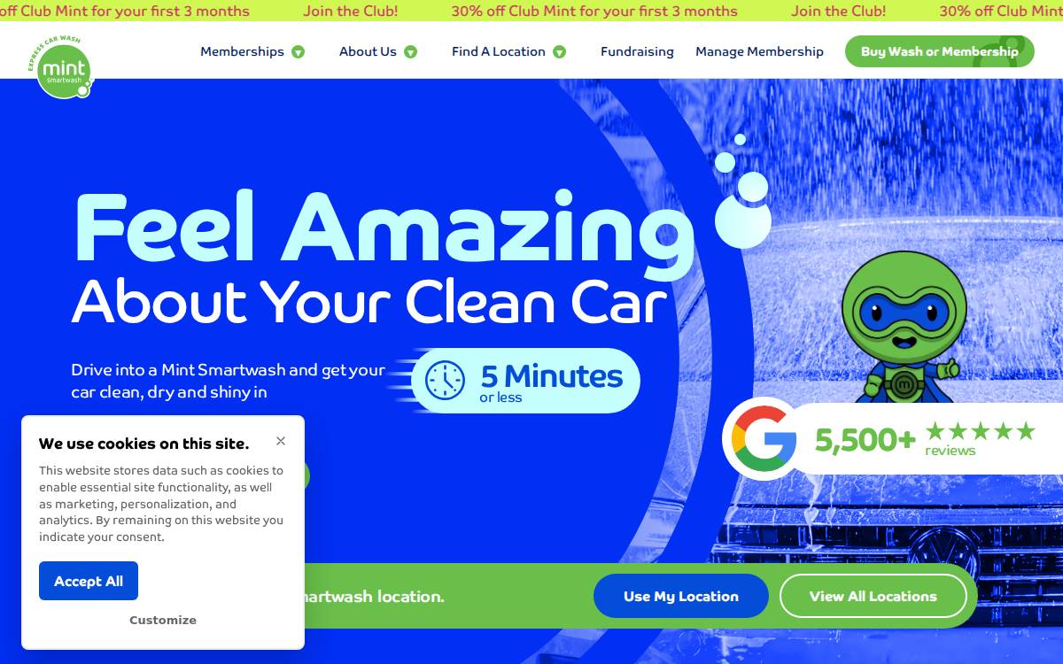 Mint Smartwash Ltd. website preview