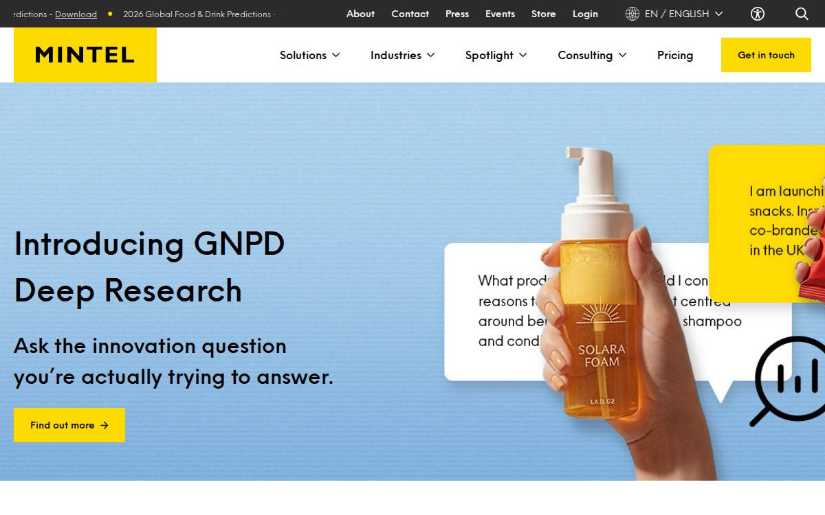 Mintel website preview