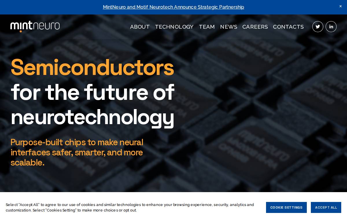 Mintneuro website preview