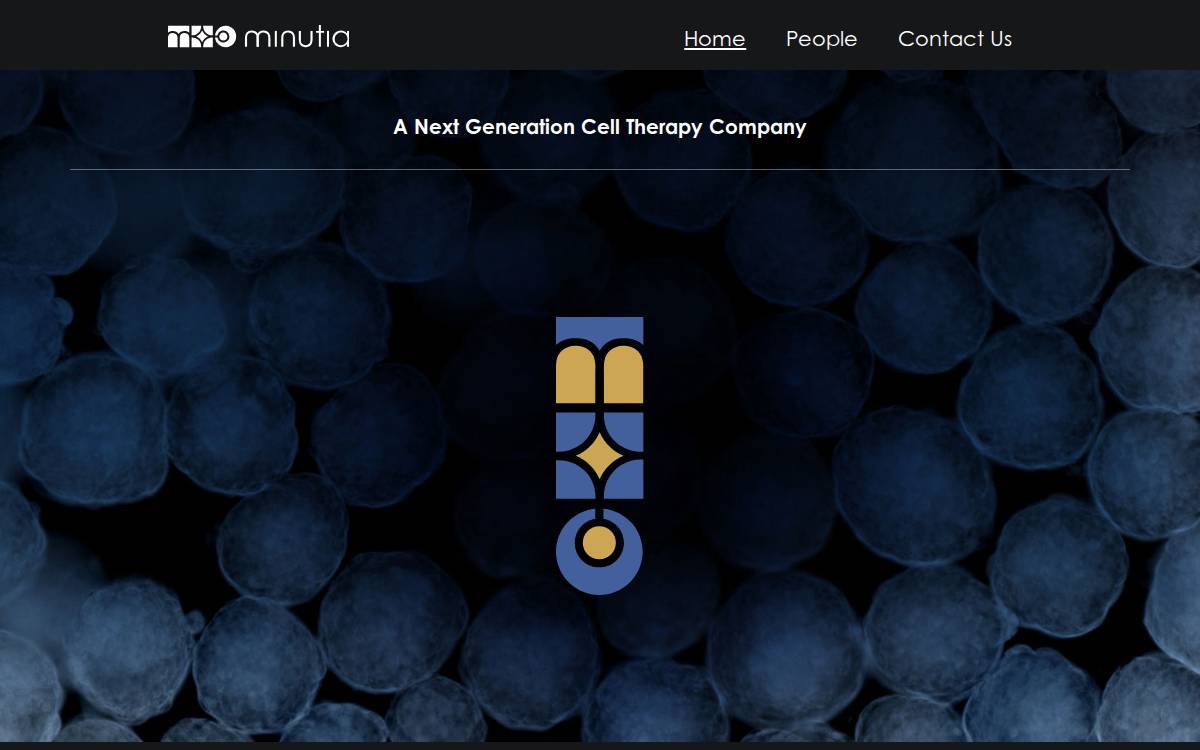 Minutia website preview