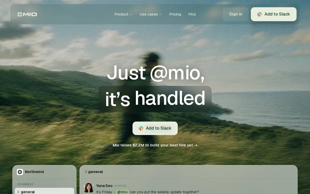 Mio website preview
