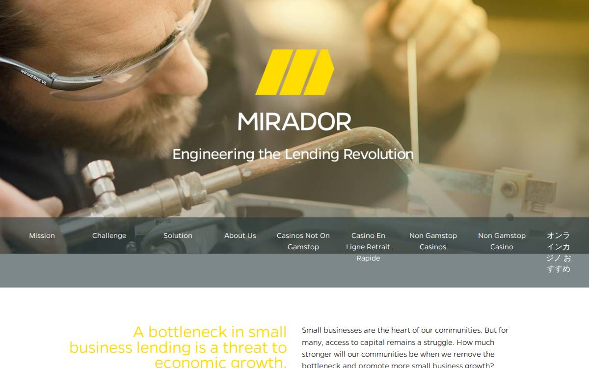 Mirador Financial website preview