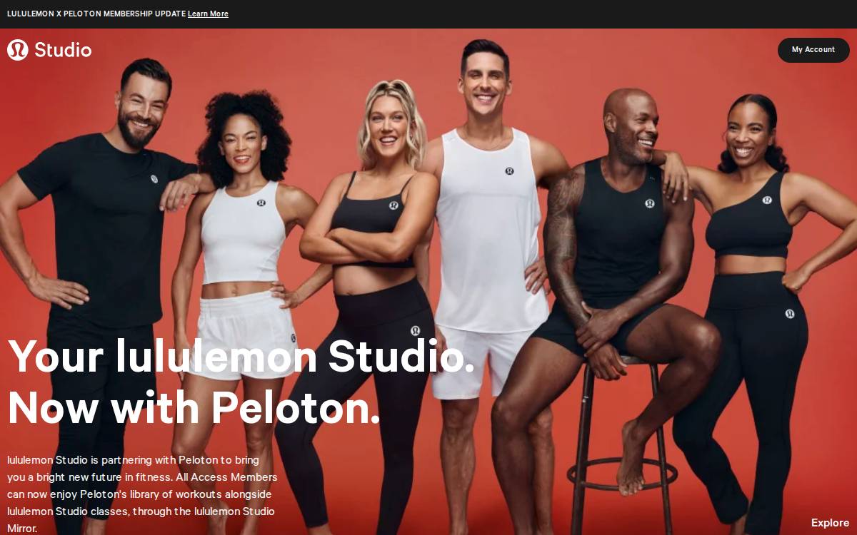 MIRROR website preview