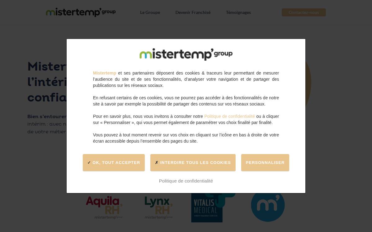 Mistertemp Group website preview