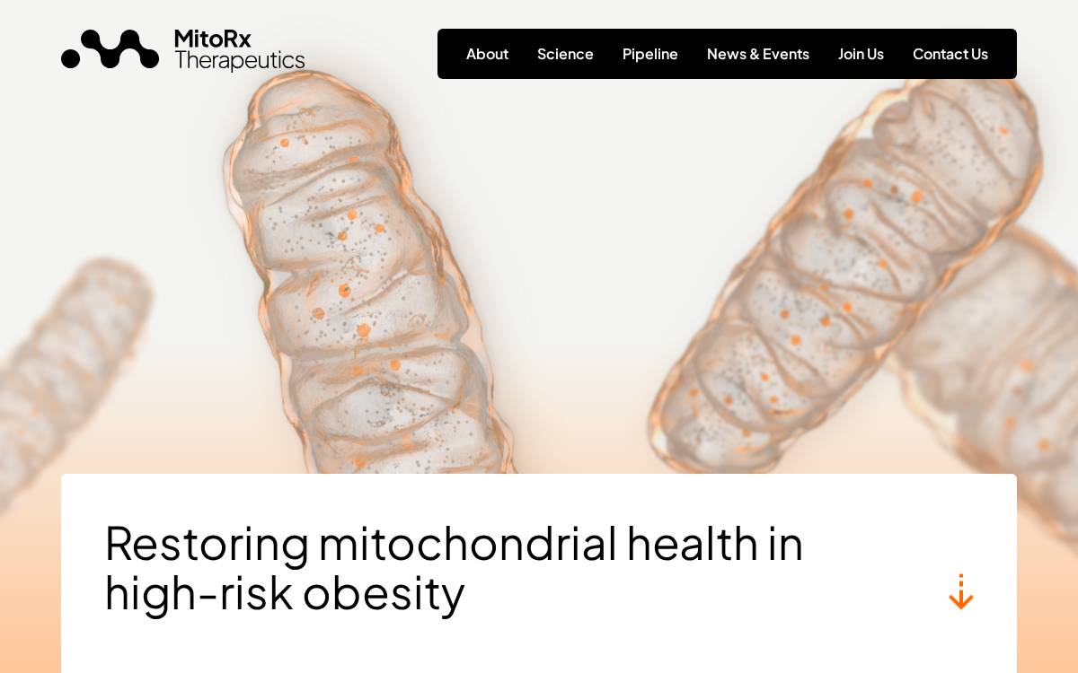 MitoRx Therapeutics website preview