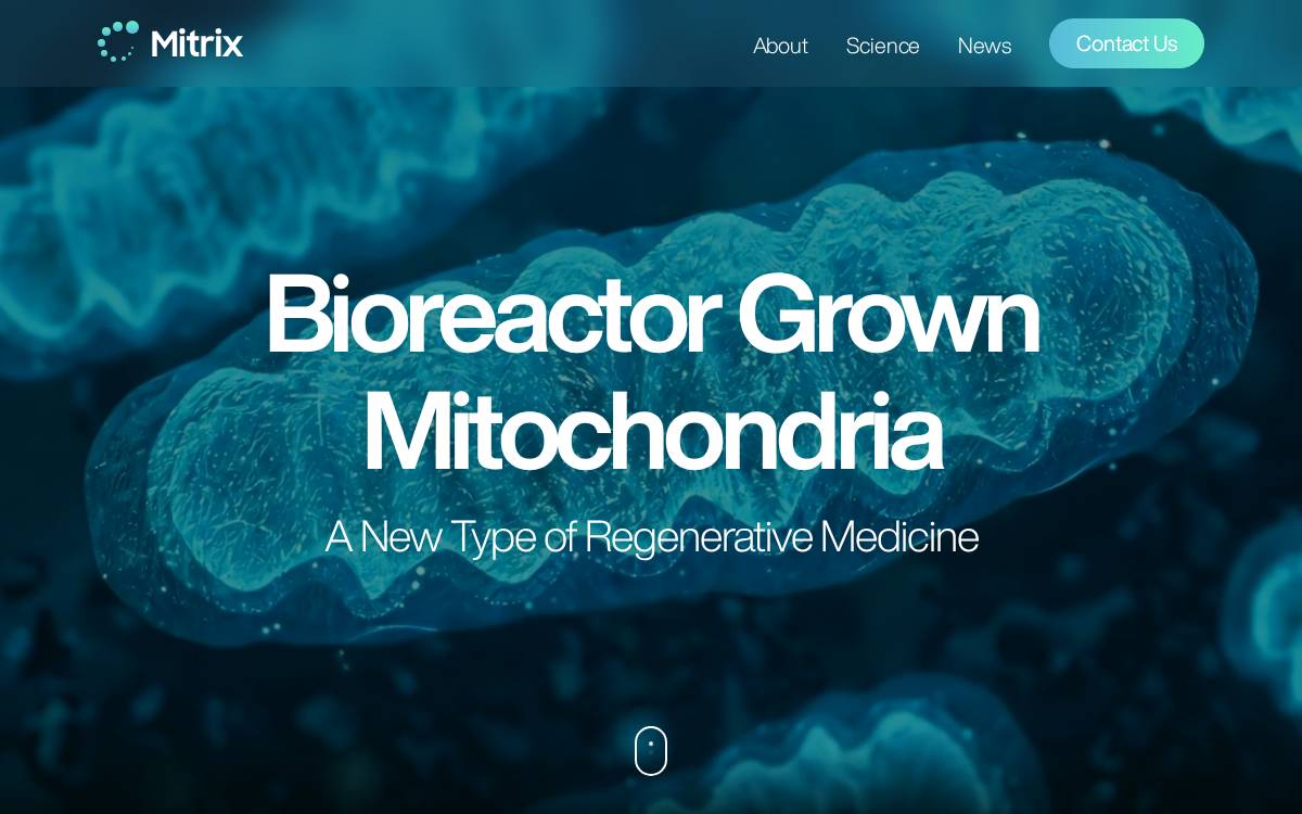 Mitrix website preview