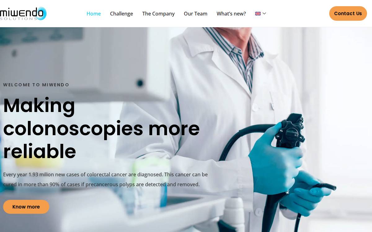 MiWendo website preview