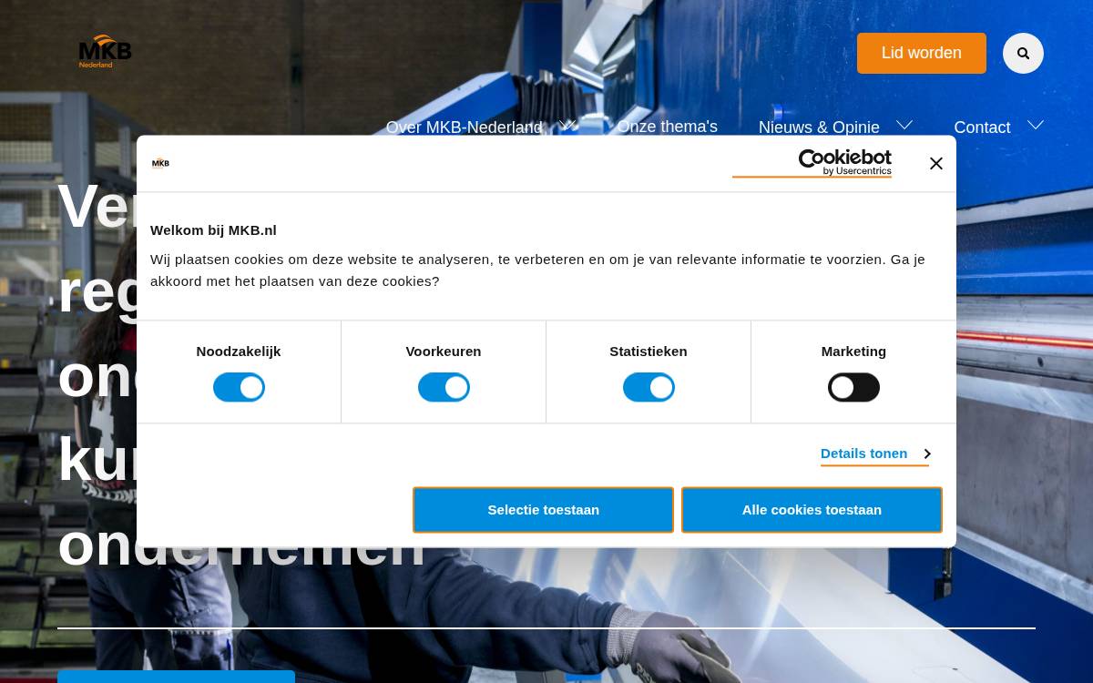 Mkb website preview