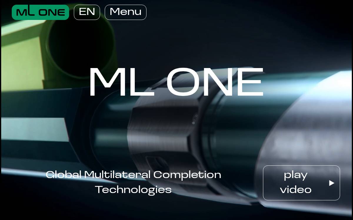 Ml 1 website preview