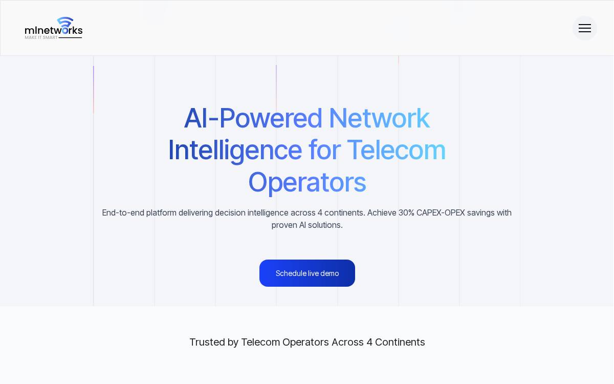MLnetworks website preview