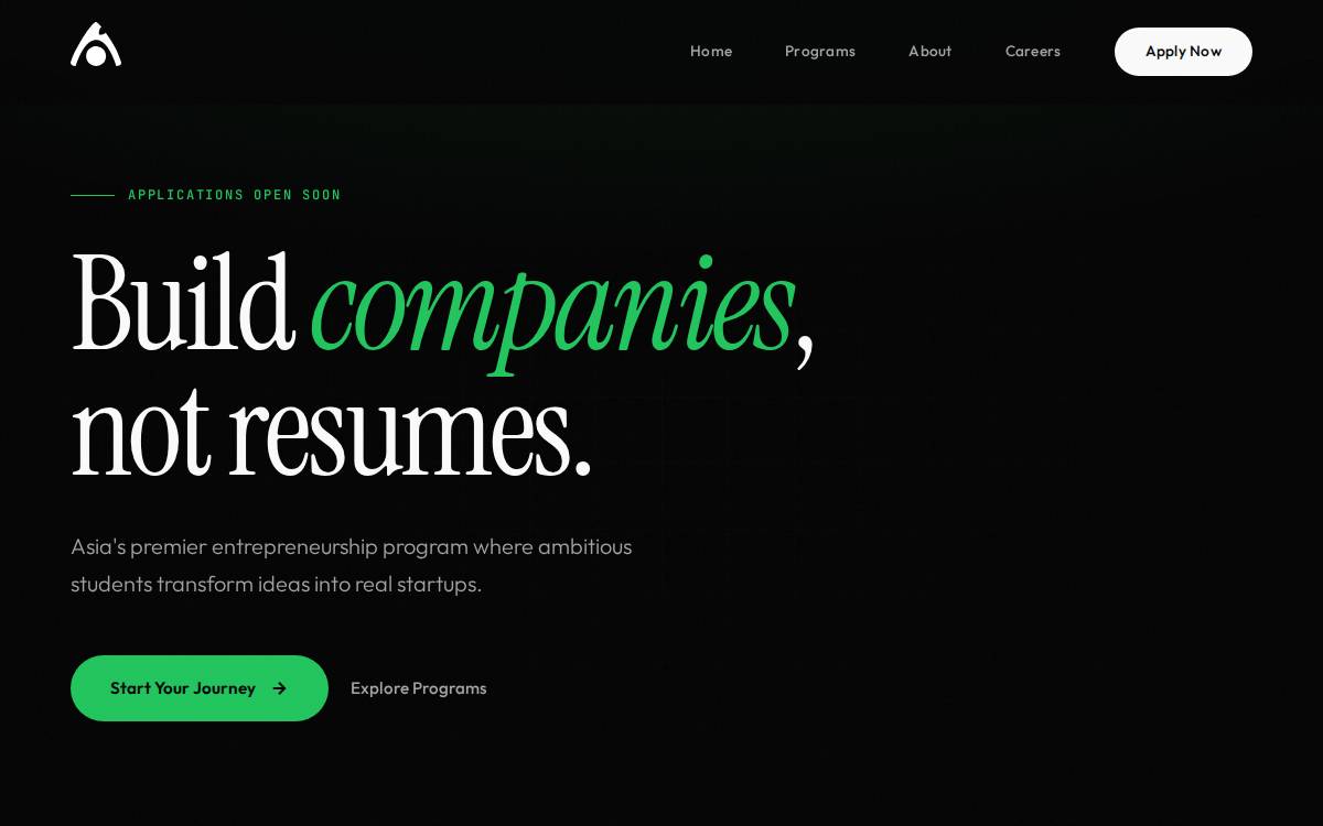 Mlvignite website preview