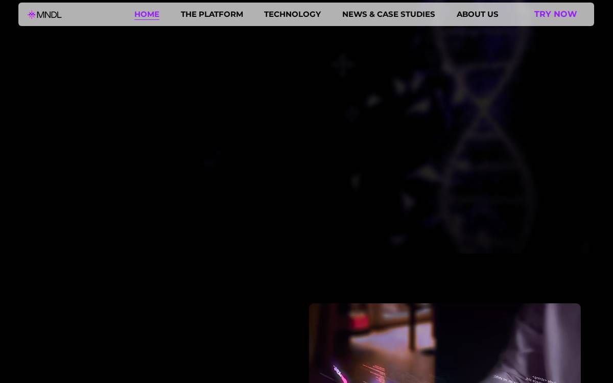 Mndl website preview