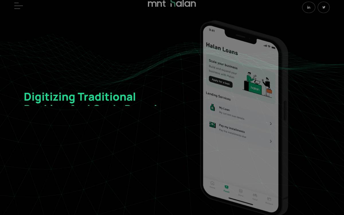 Mnt Halan website preview