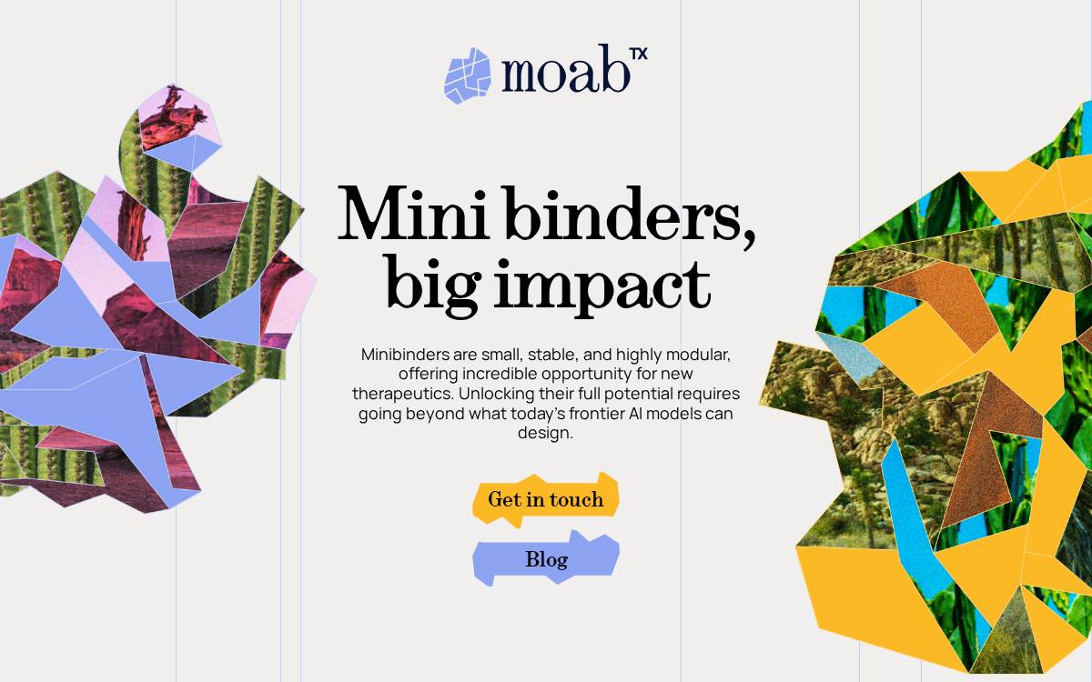Moabtx website preview