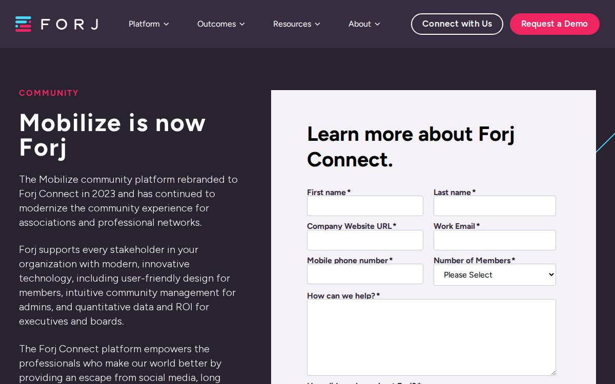 Mobilize website preview