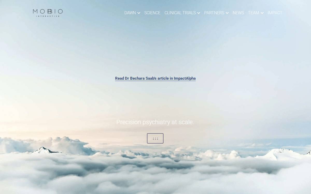 Mobio Interactive website preview