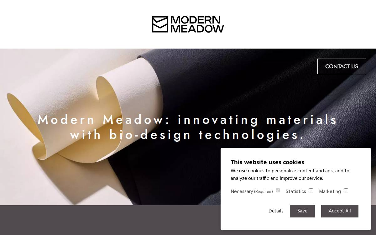 Modern meadow website preview