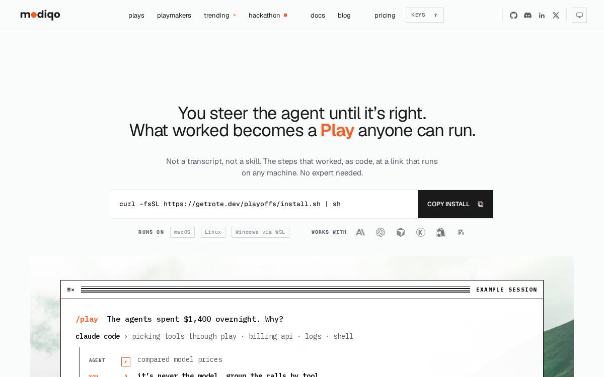 Modiqo website preview