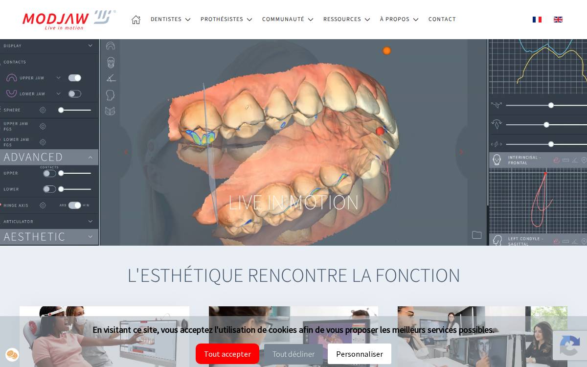 Modjaw website preview