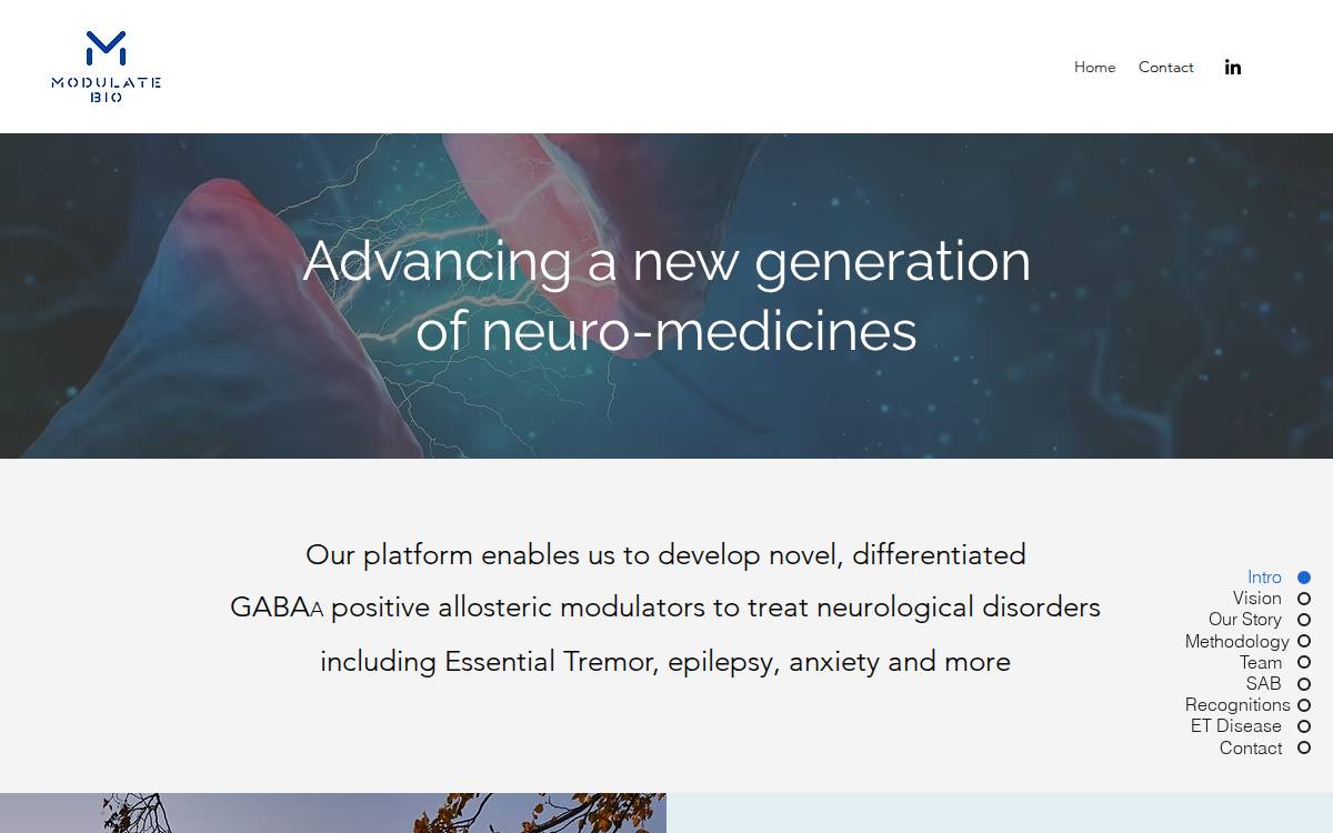Modulate Bio website preview